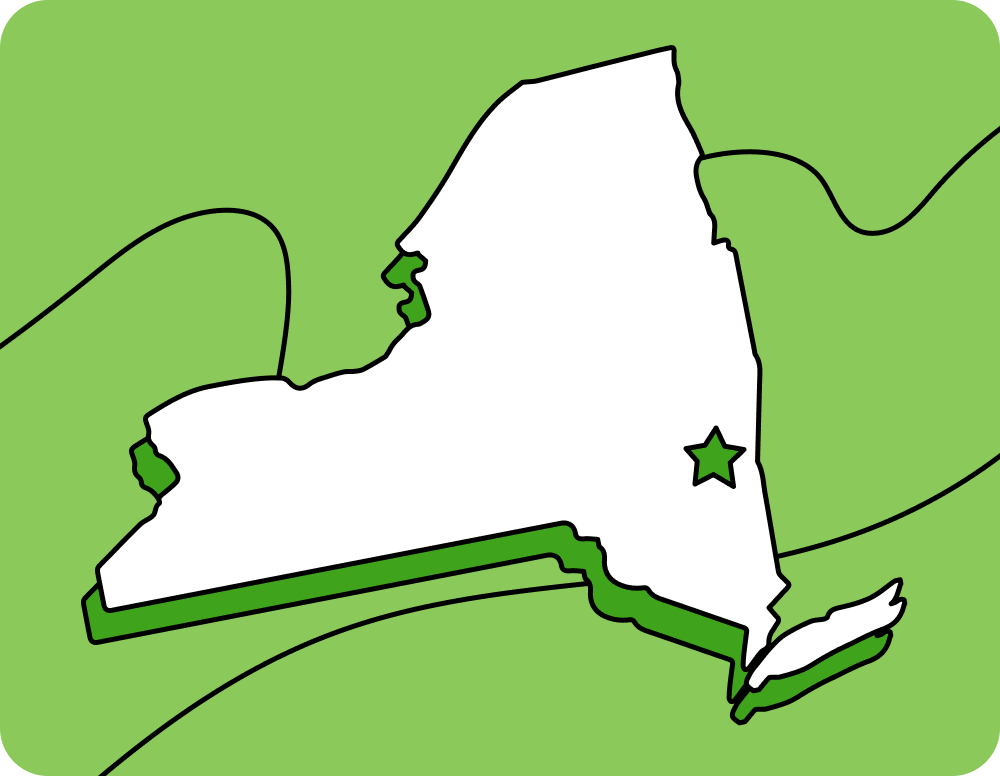 Outline of New York with a star marking its capital city, set against a green background with curved lines.