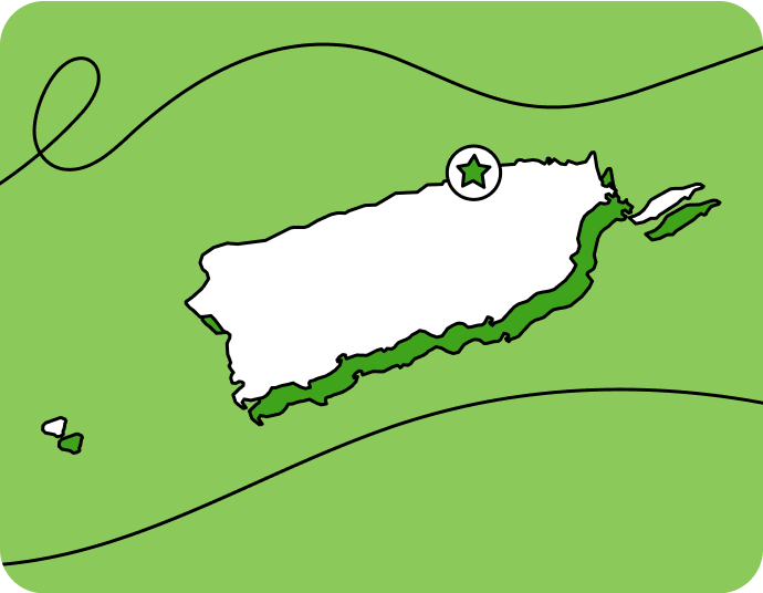 Outline of Puerto Rico with a star marking its capital city, set against a green background with curved lines.